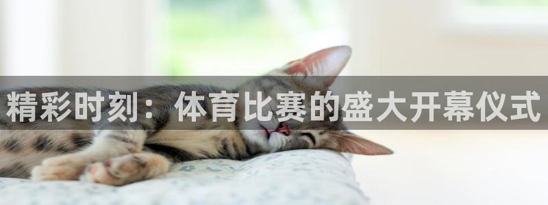 168全国开奖官网查询