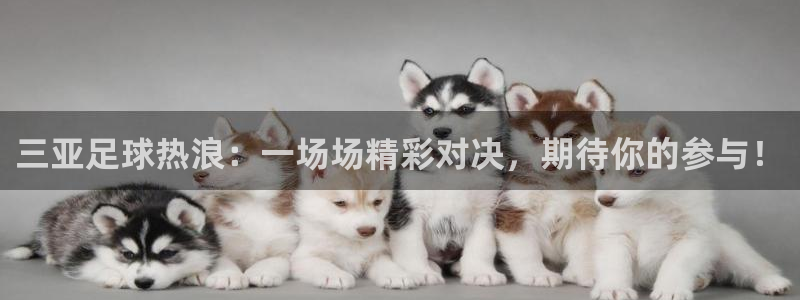 168全国统一开奖结果査询